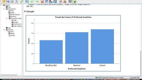 IBM SPSS STATISTICS INTRO TO FREQUENICES