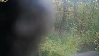 20180416 015801