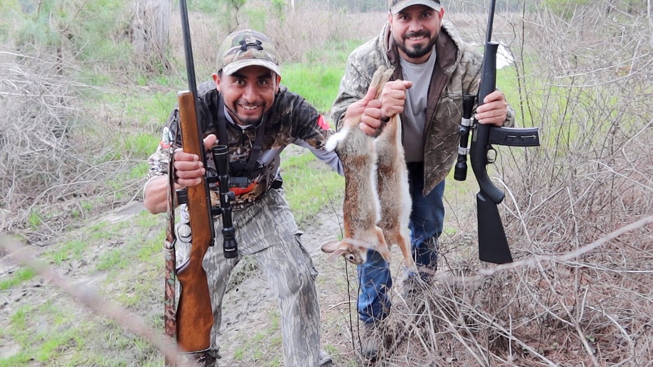 Caza Y Cocina De Conejo Con Rifle 22 YouTube Caza Y Cocina De Conejo Con Rifle 22 YouTube