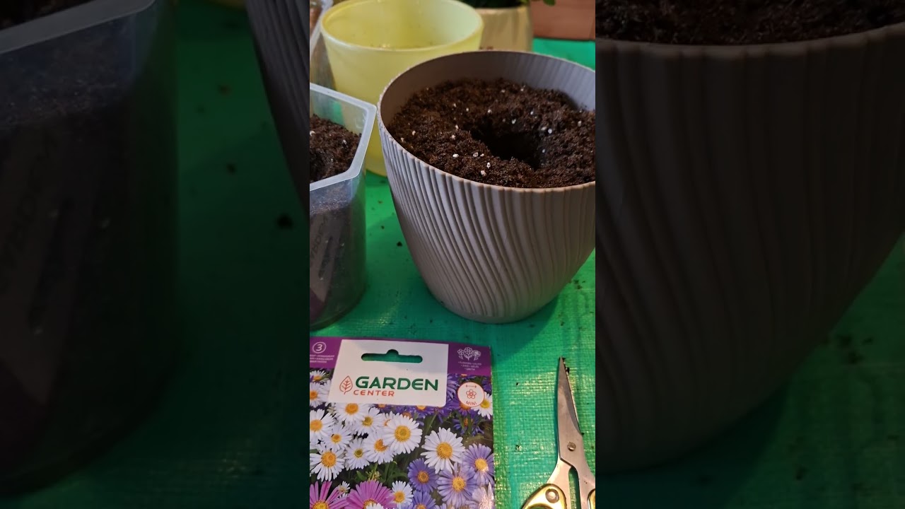 1 марта 2026 г.Погуляла и кое  что прикупилa.