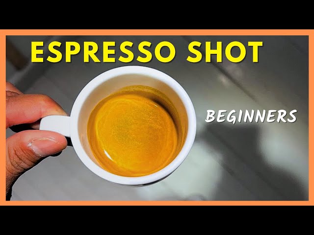 The Ultimate Guide to Brewing Perfect Espresso Shot as beginner barista
