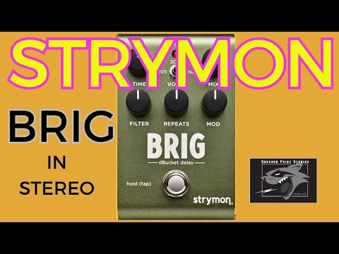 Strymon Brig: A No-Talking Stereo Demo