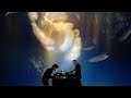 Franck Vigroux & Kurt d’Haeseleer - The Island (Excerpt)