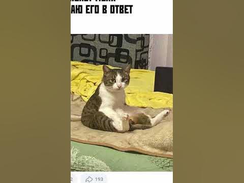 Мемы 2022 #мемы - YouTube
