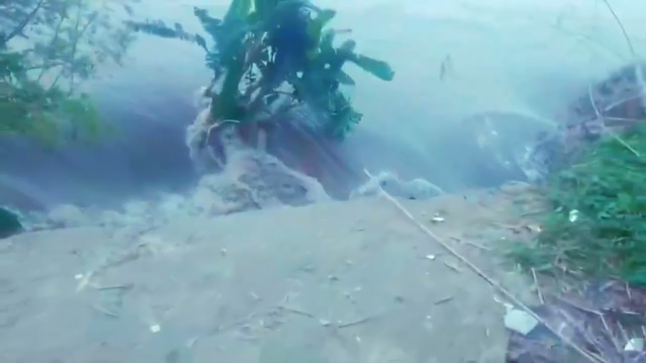 তারানগর পদ্মা নদী ভাঙ্গন লালগোলা মানুষ অনেক টেনশনের মধ্যে আছে যে কখন কি হয়ে যাবে