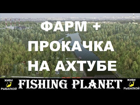 Видео: Фарм и прокачка на реке Ахтуба в игре Fishing planet