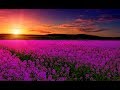 Relaxing Music For Emotional Healing & Detachment from Negativity | Boost Happiness & Inner Peace