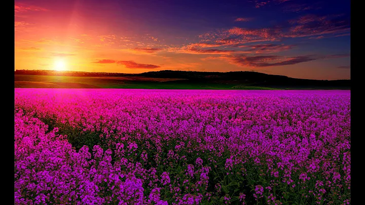 Relaxing Music For Emotional Healing & Detachment ...