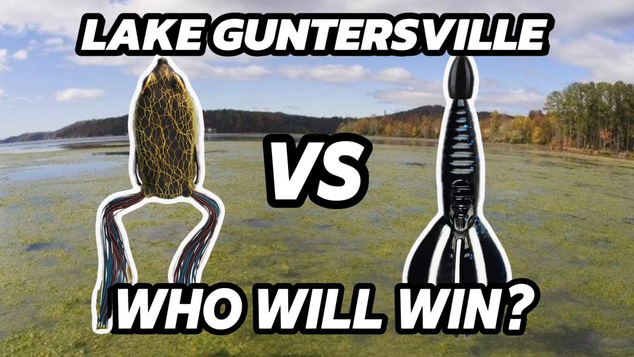 Battle of the Baits: Frogging vs Punching - Late Summer Bass Showdown on Guntersville