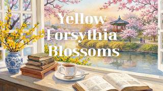 Forsythia and Cherry Blossoms in Seoul Café 🌸💛 | Soft Jazz for Reading & Rest screenshot 4