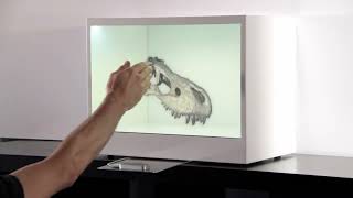 Leap Motion Controller + RealFiction Transparent LCD Display