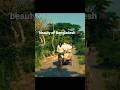 A Love Story in Nature |Heart Touching Bangladesh Beauty. #bangladesh #nature #fypシ゚viral #bd