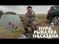 🎣 Сазаны-терминаторы: шнур в клочья, крючки в хлам! 2 Ночи на Рыбалке. Сезон Лето 2025.