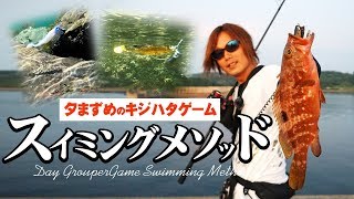 【ロックフィッシュ】夕マズメのキジハタゲーム・スイミングメソッド～金丸竜児