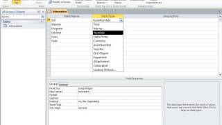 Information MS Access Lab 01 News
