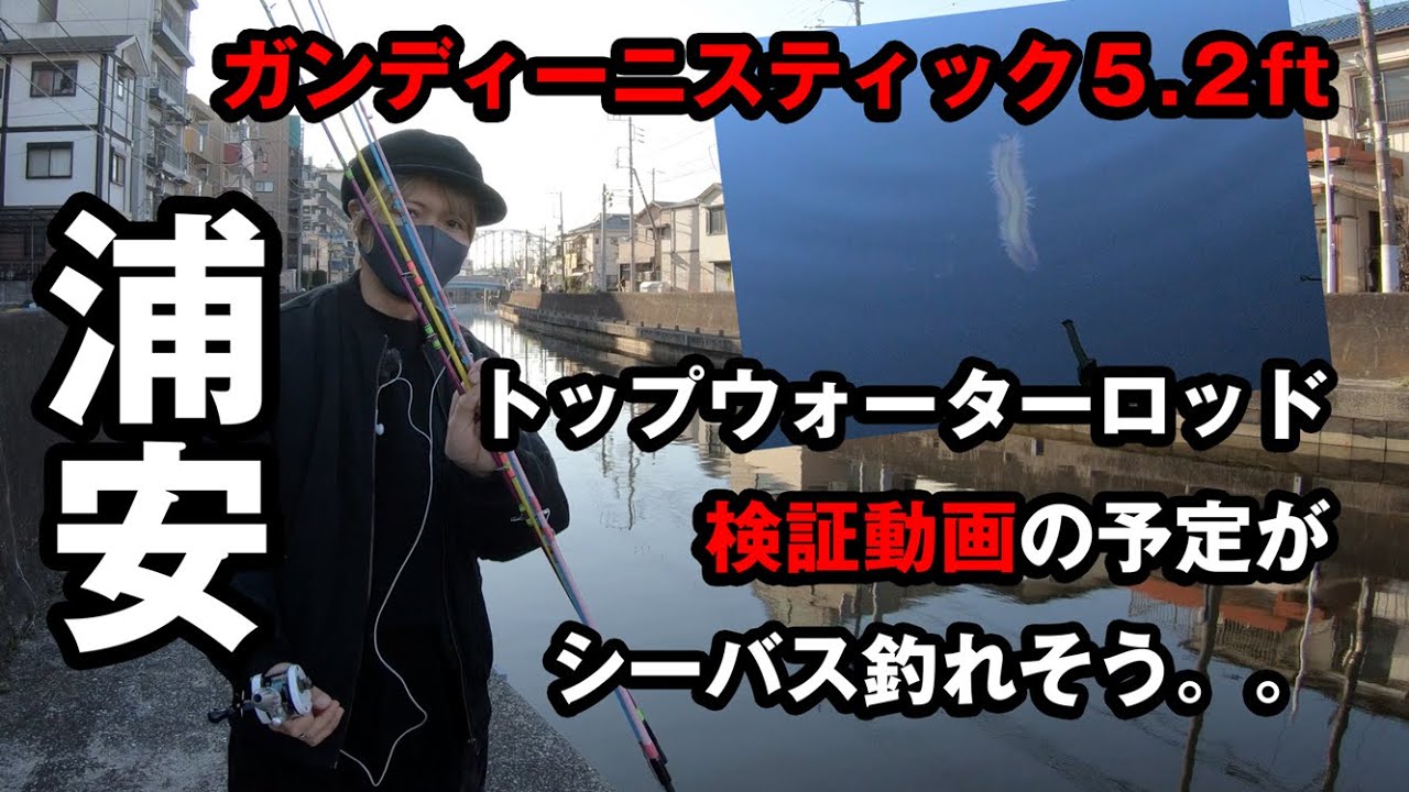 トップウォーターロッド検証動画：ガンディーにスティック5.2ft - YouTube