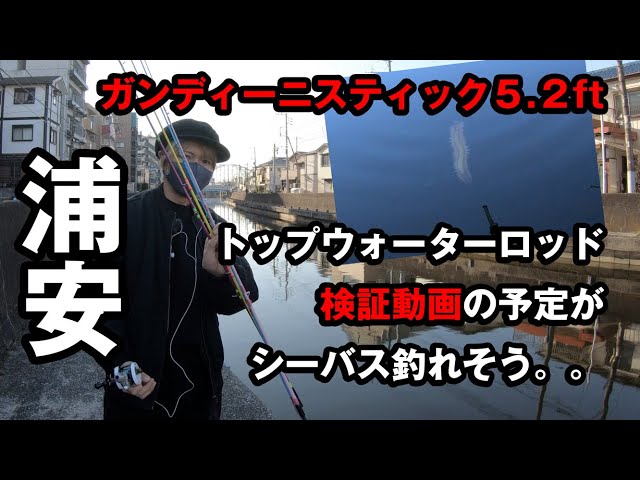 トップウォーターロッド検証動画：ガンディーにスティック5.2ft - YouTube