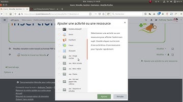 Tuto vidéo : Utiliser les étiquettes et déposer des fichiers dans Moodle