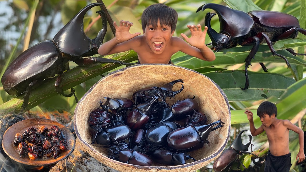 Decko streams, chapter: Primitive Foodie KH 