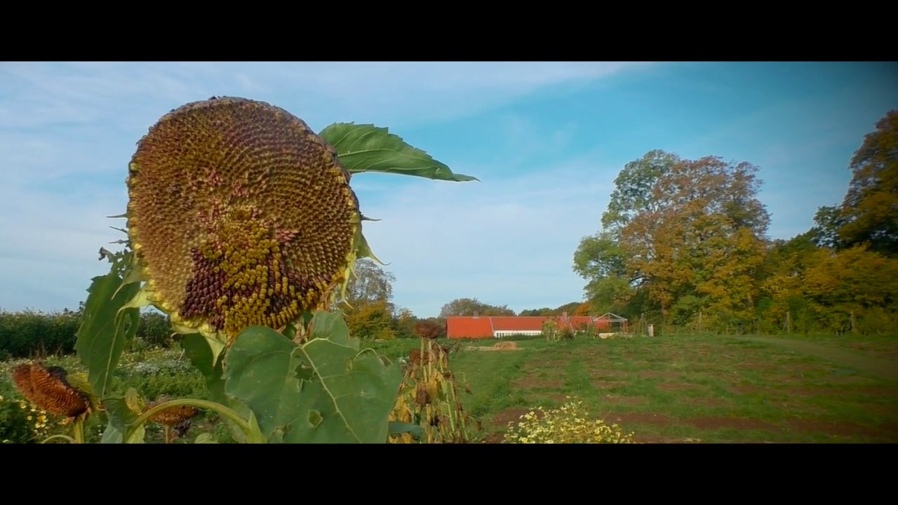 Learning on the bio-farm - YouTube