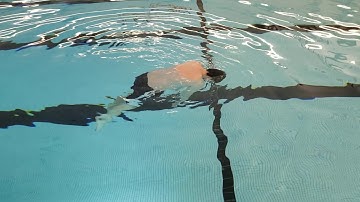 Lamar Aquatics Jellyfish Float