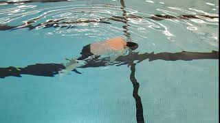 Lamar Aquatics Jellyfish Float