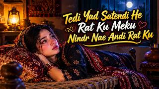Tedi Yad Satendi Rat Ku 💔 | Meko Nindr Nae Andi Raat ku| New Saraiki Sad Song 2026 | Female Voice