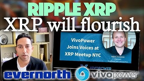 Asheesh Birla Says Cryptos Flourish With Broad Base Adoption + Vivopower Buying Discounted XRP?