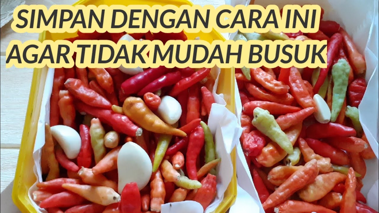 CARA MENYIMPAN CABE AGAR TAHAN LAMA - MENYIMPAN CABE AGAR TETAP SEGAR