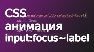 CSS анимация input:focus~label формы подробное объяснение форма логина + -internal-autofill-selected