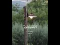 يعلم خائنة الأعين وما تخفي الصدور غافر ١٩ ٢٠ القارئ أحمد النفيس 