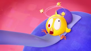 Where's Chicky? Funny Chicky 2021 | COLLECTION | Chicky Cartoon in English for Kids