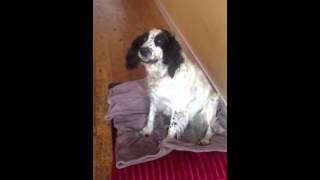 IMG 7789