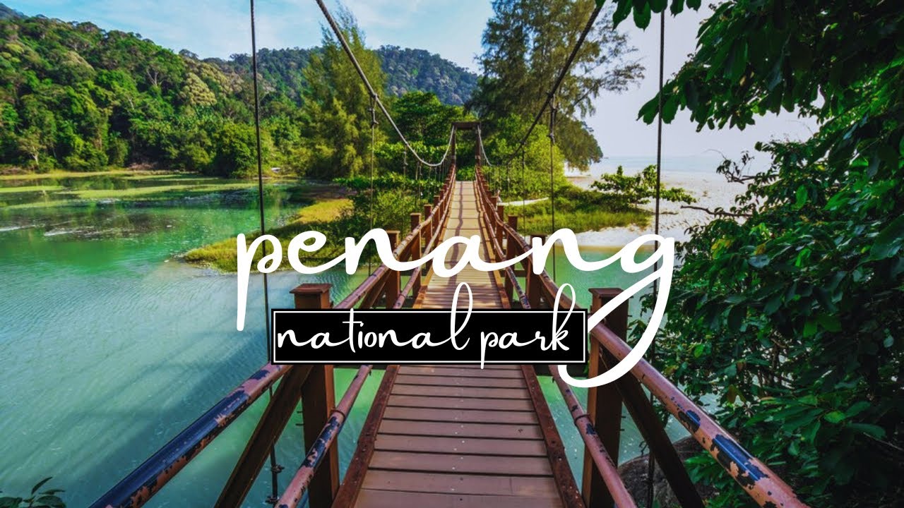 Из джунглей на пляж — моё приключение в национальном парке Пенанг