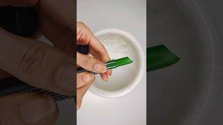 Smashing Green💚Lipstick 💄! #satisfying #makeupslime #lipstick #viral #shortvideo #shorts