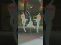 Revancha Con La Influencer Naria II [Pokémon Legends Z A] [Nintendo Switch 2] [4K]
