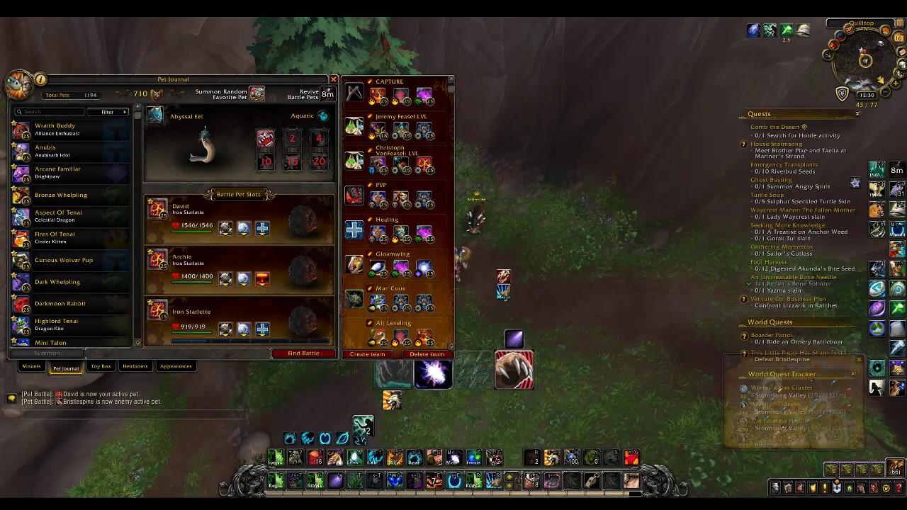 BFA World Quest This Little Piggy Has Sharp Tusks, Bristlespine 2Pet Leveling Strategy. YouTube