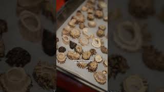 freeze dried mushrooms