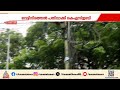 അനുമതിയില്ലാതെ കെ എസ് ഇബിയുടെ വെട്ടിനിരത്തൽ; വൈദ്യുതി മന്ത്രിക്ക് മൗനം | KSEB | Pathanamthitta