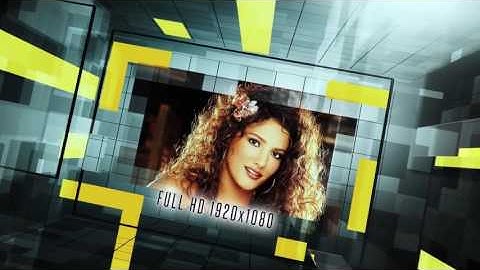 Stylish Grid Slideshow-After Effects Template Videohive