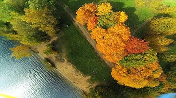 SCX 200, Betaflight 3.0. Golden autumn.