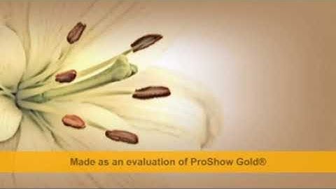 سورة القدر وسورة البينة للقارئ الشيخ عبد الباسط عبد الصمد