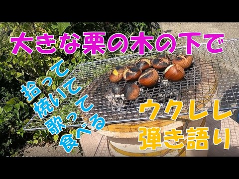 【大きな栗の木の下で】栗を拾って焼いて食べて歌う「ウクレレ」