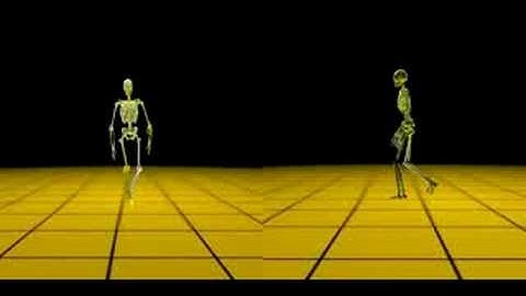 Locomotion analysis and synthesis