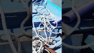 shorts bukanmaen mancing tiktok storywa mancingmania