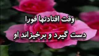 Video thumbnail of "کلامت می گويد که دوستی"