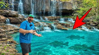 We Found a Hidden Waterfall LOADED with Fish!