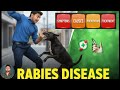 Rabies Virus | How It Kills & How You Can Stop It | Full Prevention Guide