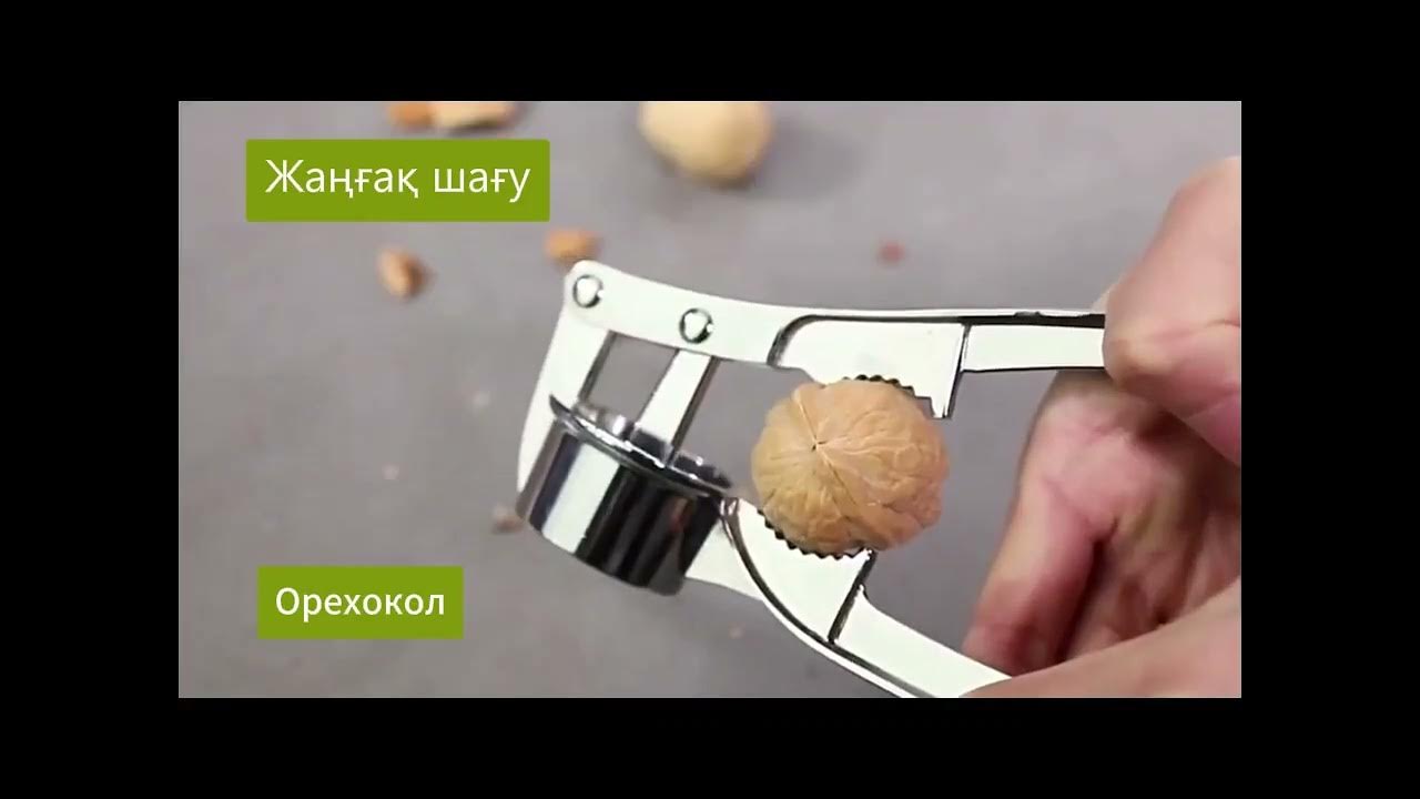 Чеснокодавка орехокол - YouTube