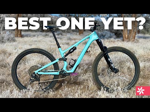 Specialized Stumpjumper 15